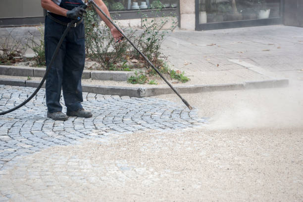 Best Animal Enclosure Cleaning  in Garden City Park, NY